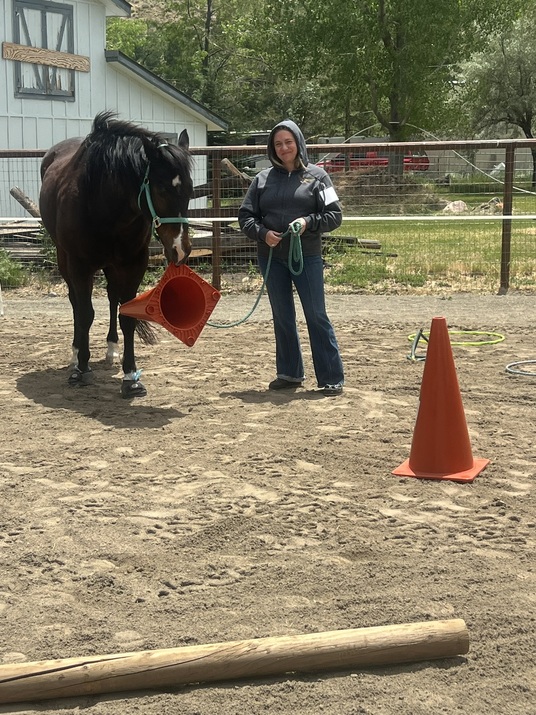 In the Moment Coaching